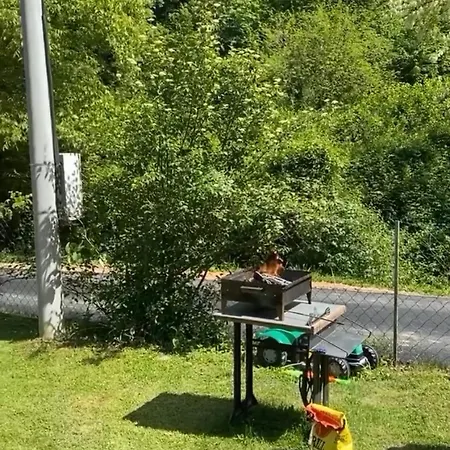 Апартаменты Novicic *