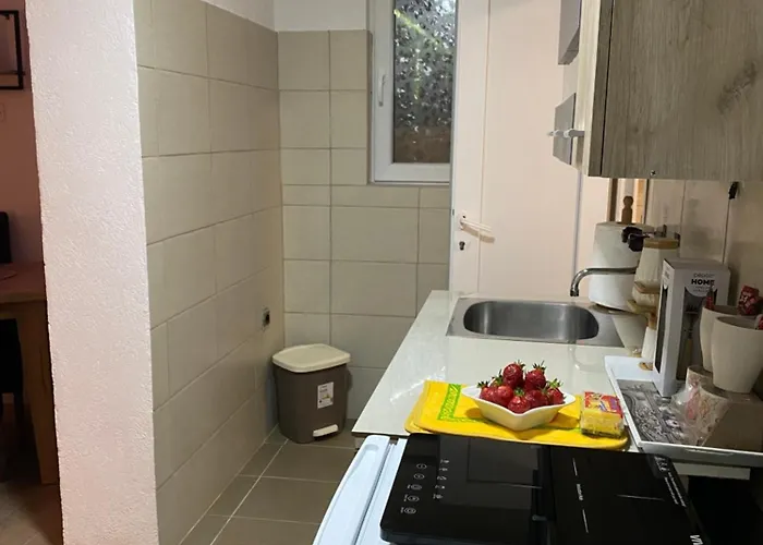 Novicic * Vrnjačka Banja